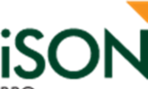 iSON Logo - 789marketing